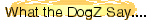 What the DogZ Say....