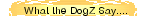 What the DogZ Say....
